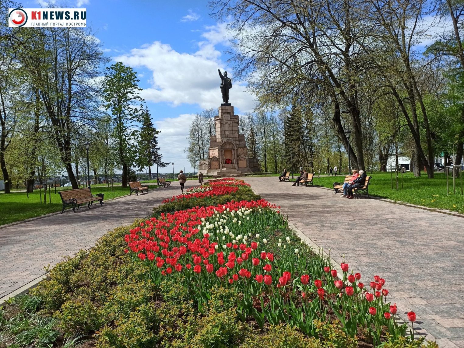 Костромские клумбы наполняют яркой красотой