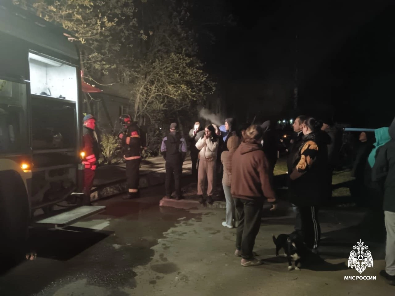 Из горящего в ночи дома в Костроме спасли полсотни людей и кошек