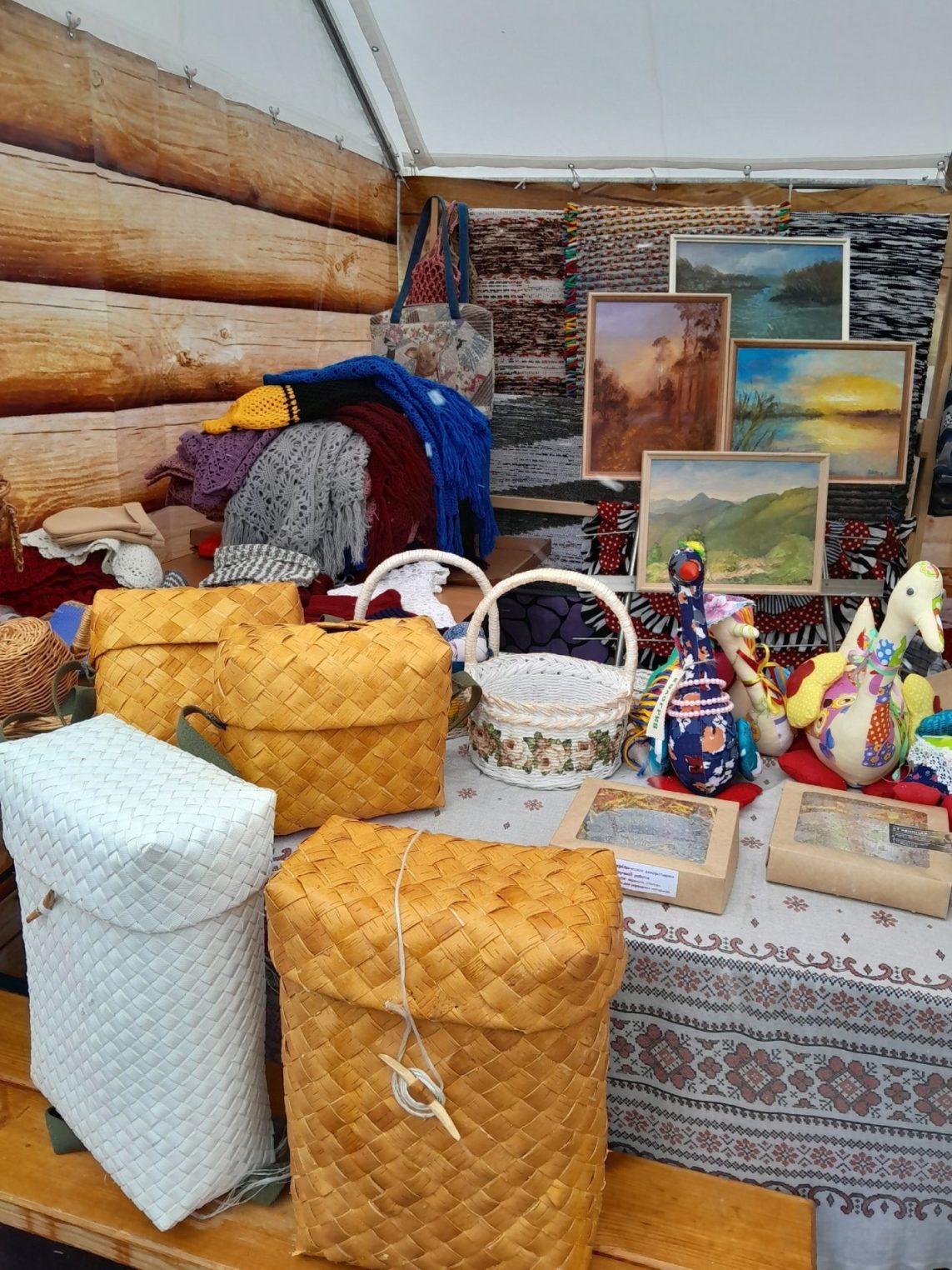 В День гуся под Костромой открыли сезон прилета птиц