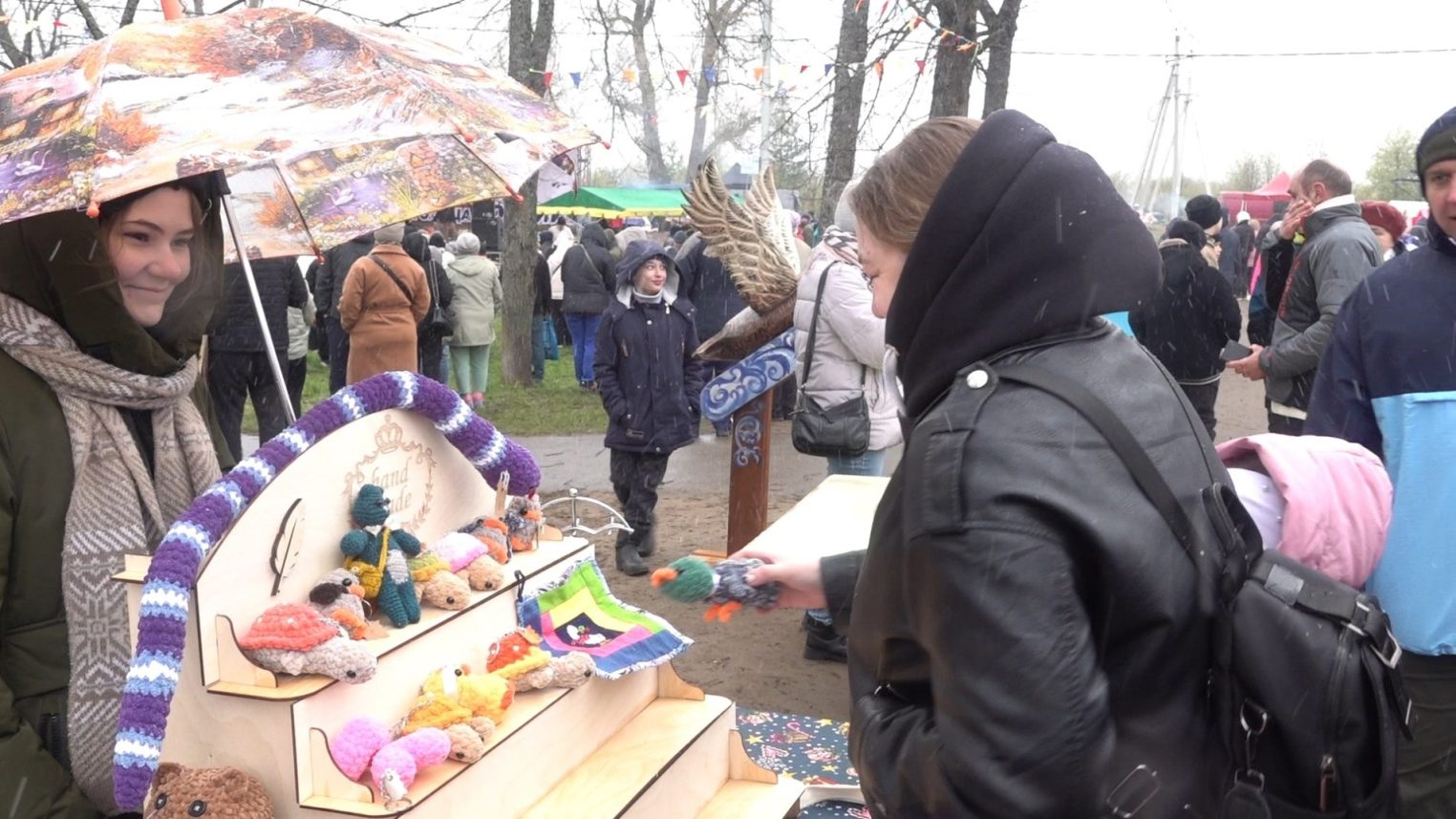 В День гуся под Костромой открыли сезон прилета птиц