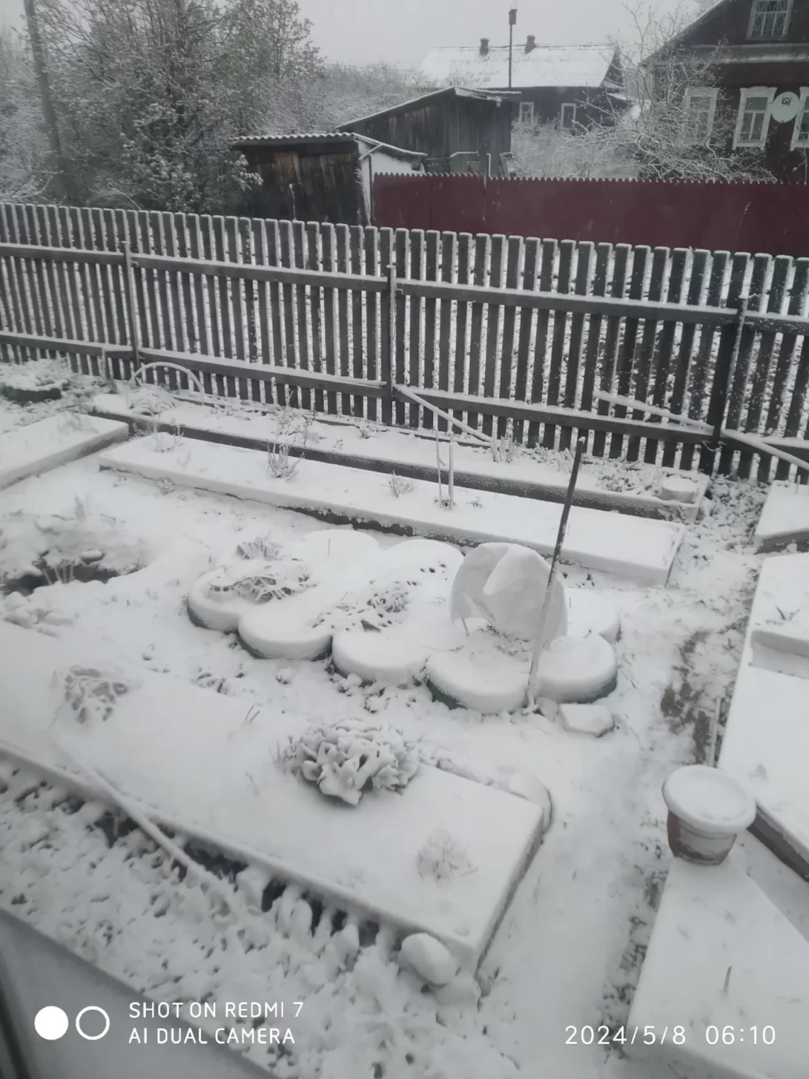 Майская зима пришла в Костромскую область. Видео
