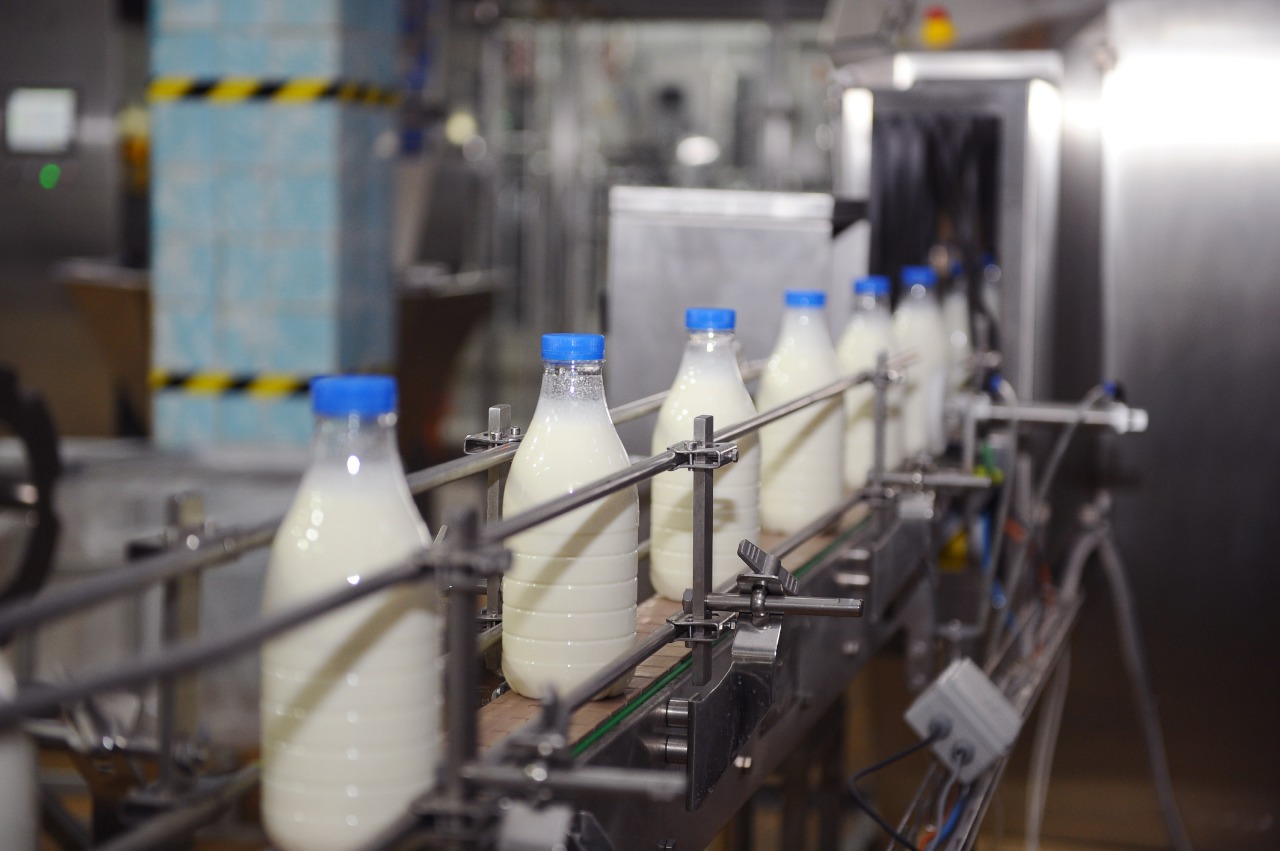 Костромским фермерам будут платить за молоко, а не за коров
