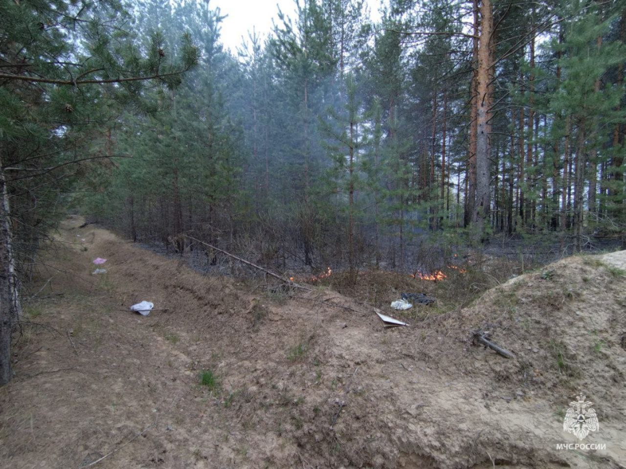 В Нейском округе случился лесной пожар