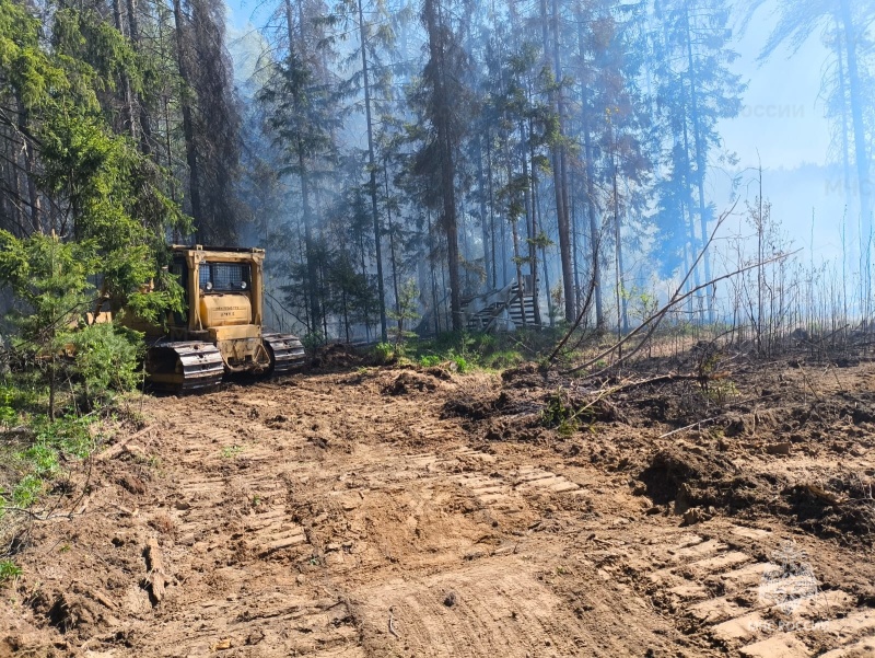 Лесной пожар в Парфеньевском округе тушили до вечера