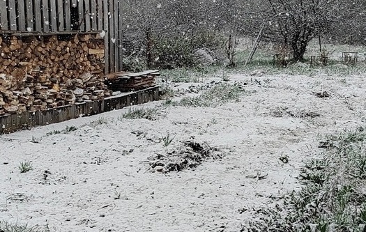 В костромском райцентре доказали: майский снег — дело обычное