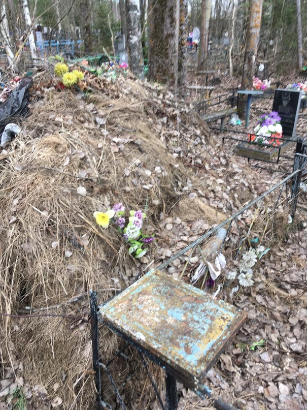 Буевляне жалуются на вандалов, выбросивших на кладбище диван