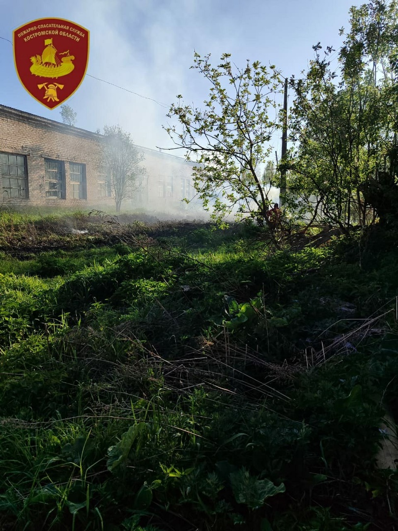 Неисправная проводка подожгла поле сухой травы под Костромой
