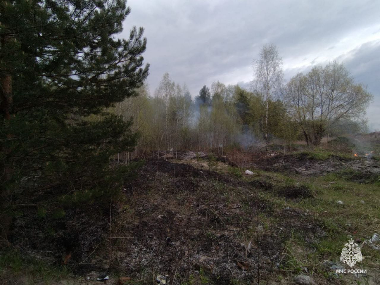 В Нейском округе случился лесной пожар