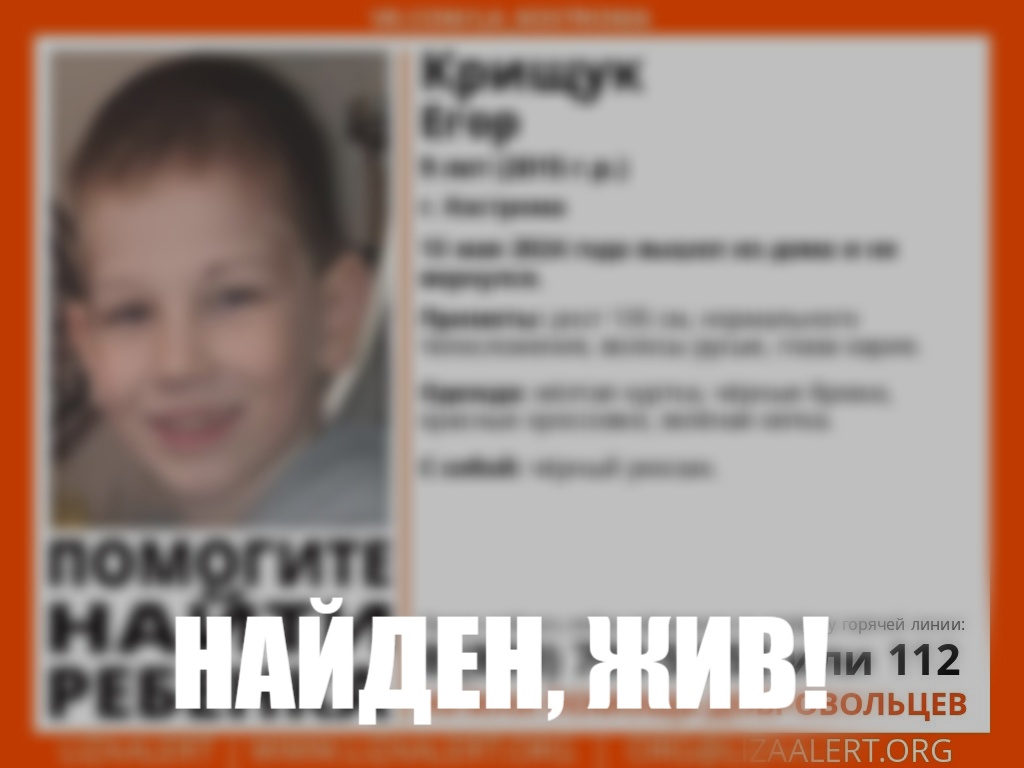 Пропавшего накануне мальчика нашли живым