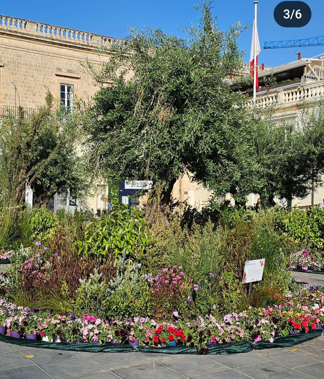 Цветущая экс-мэр Костромы Ирина Переверзева показала цветущую столицу Мальты