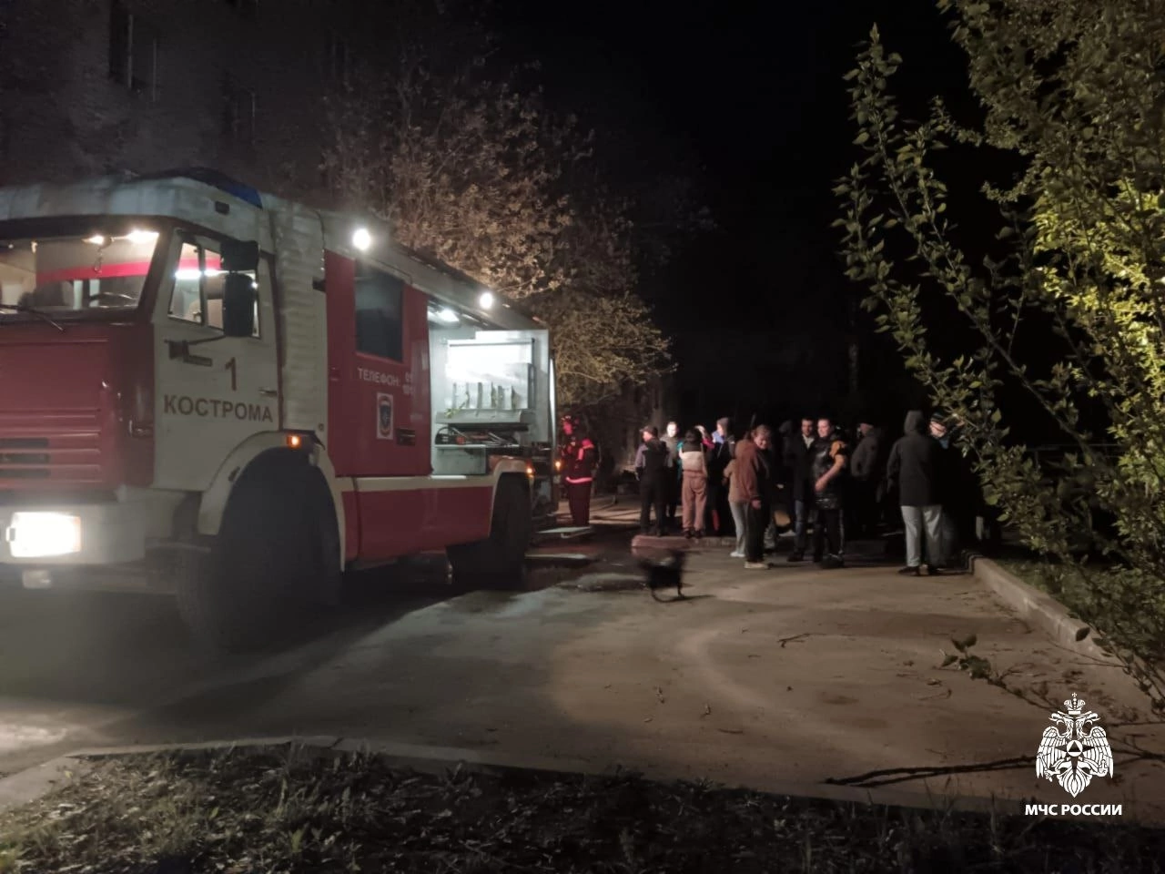Из горящего в ночи  дома в Костроме спасли полсотни людей и кошек
