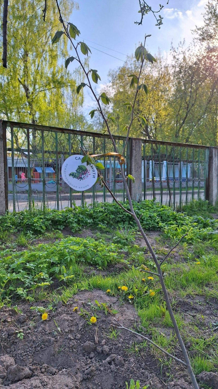 Костромские школьники посадили свой «Сад памяти»