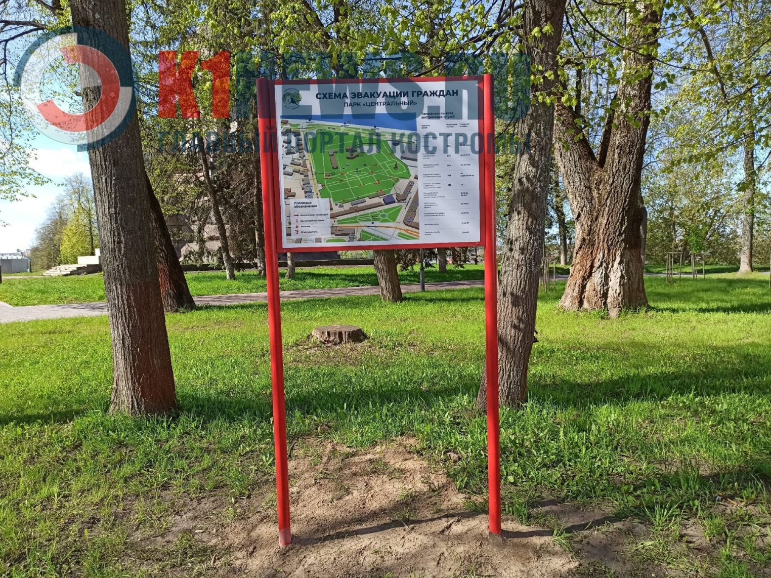 В Центральном парке Костромы появились не только цветы