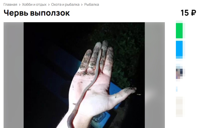 Жирный длинный выползок ищет добрые руки