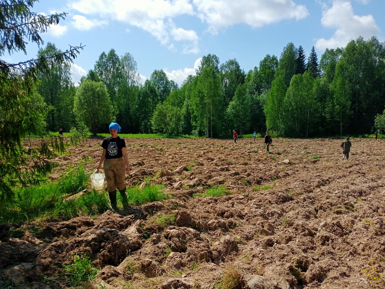 Студенты накормят диких зверей в Кологривском лесу