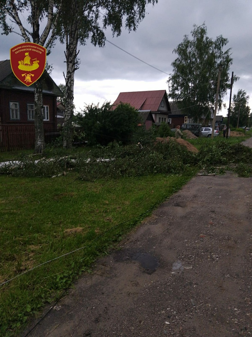 В Буе поваленные ветром деревья оставили горожан без света
