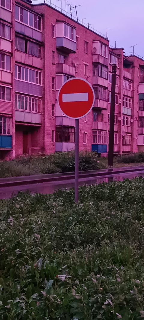 Розовым в золоте закатом любовались жители Буя. Много фото
