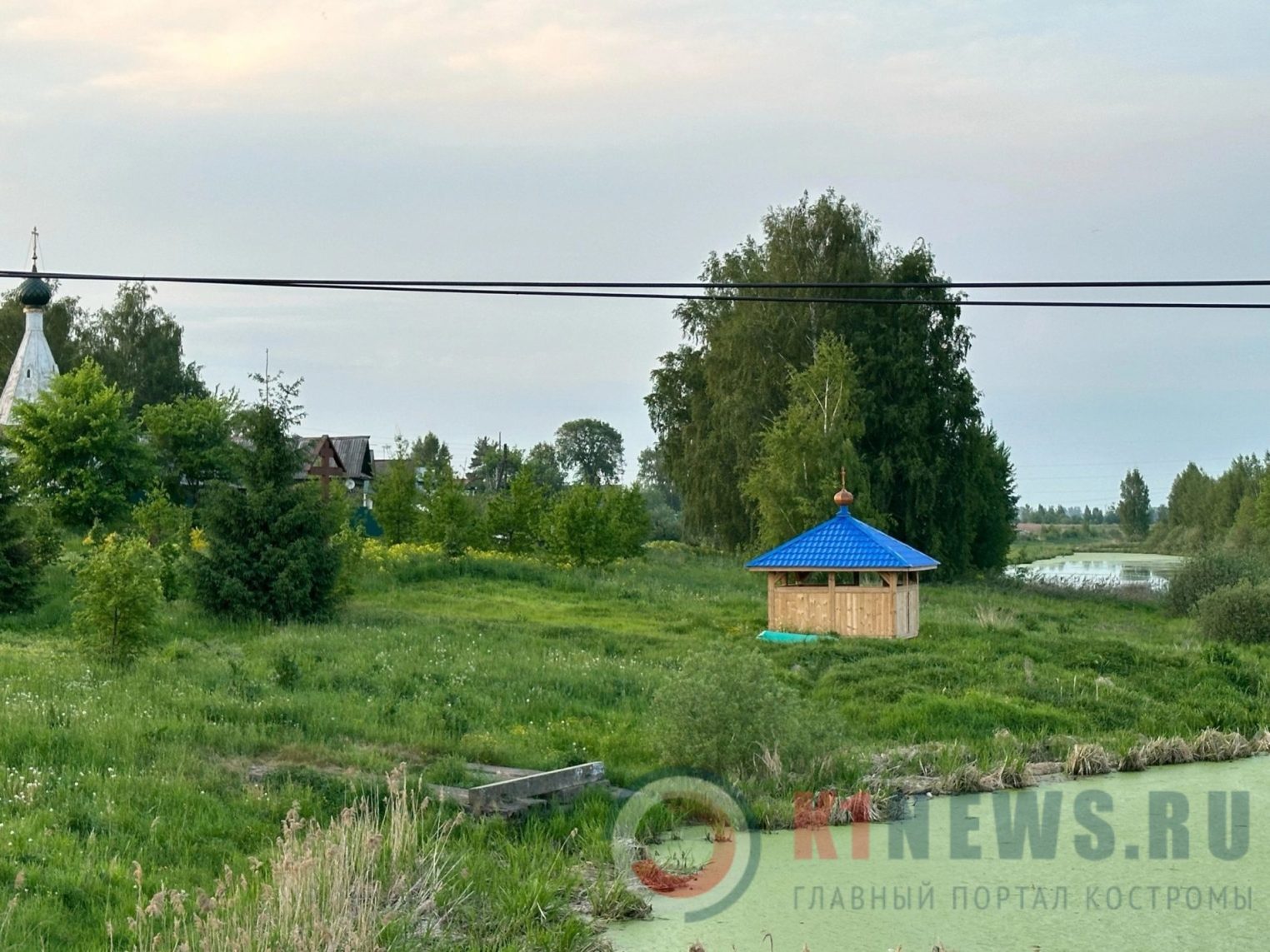 Уникальное костромское озеро медленно погибает