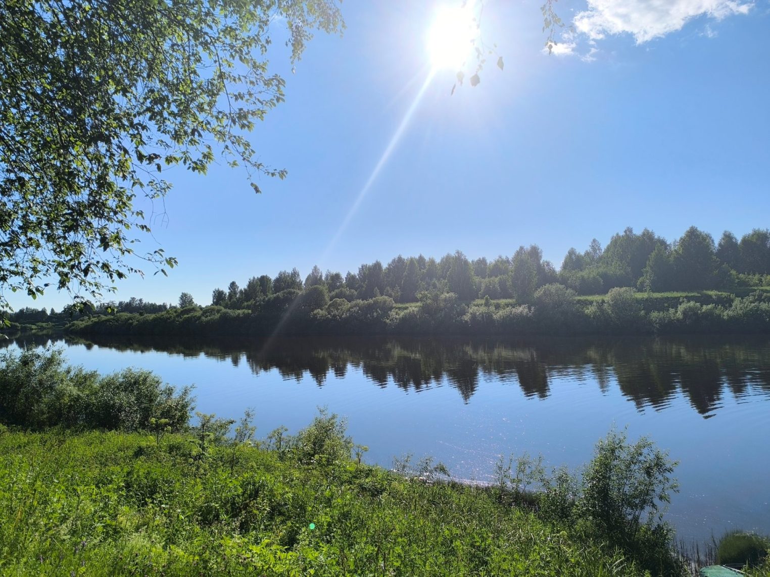 Под Костромой нашли место, где выращивают лен