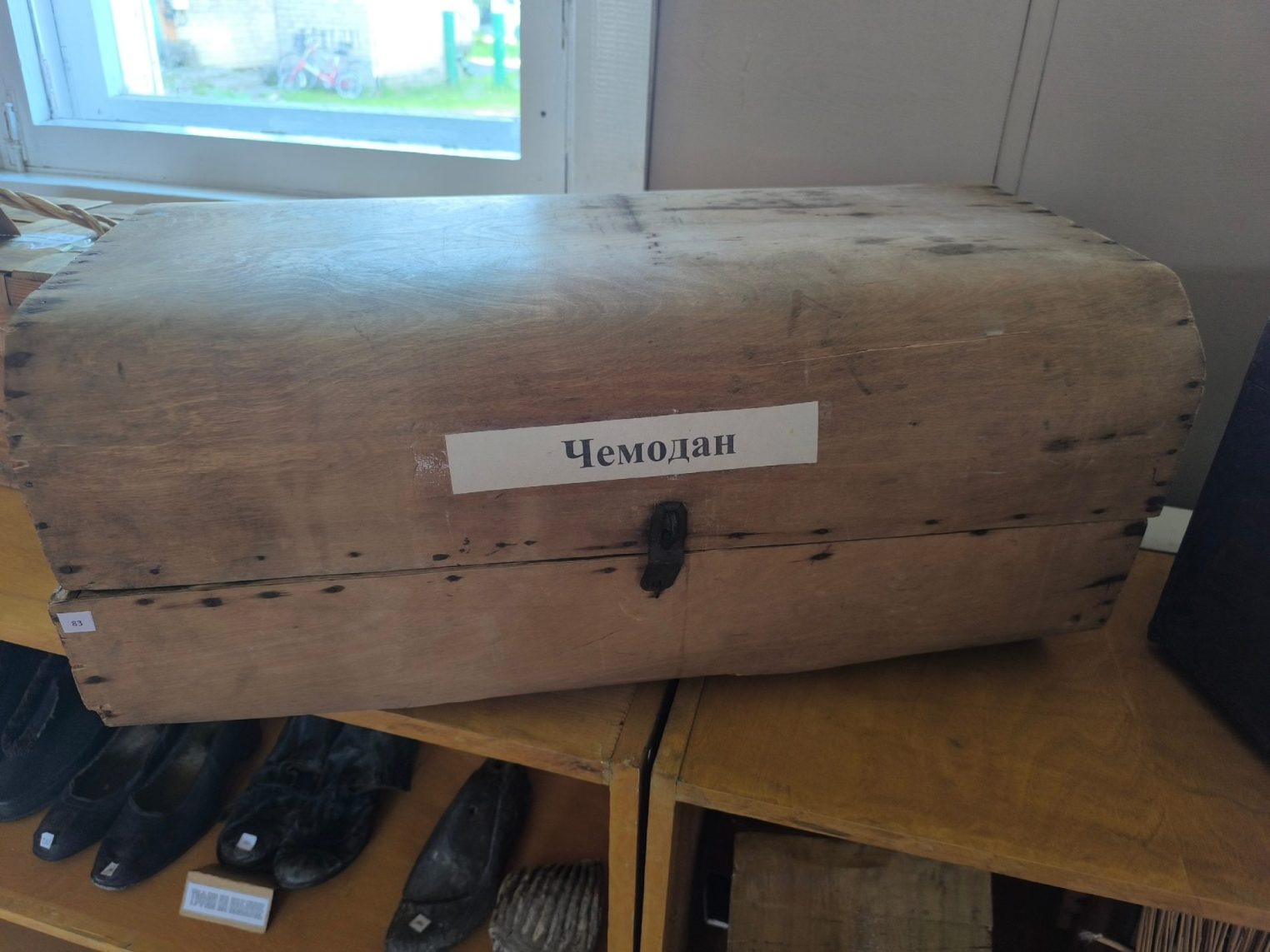 Под Костромой нашли место, где выращивают лен