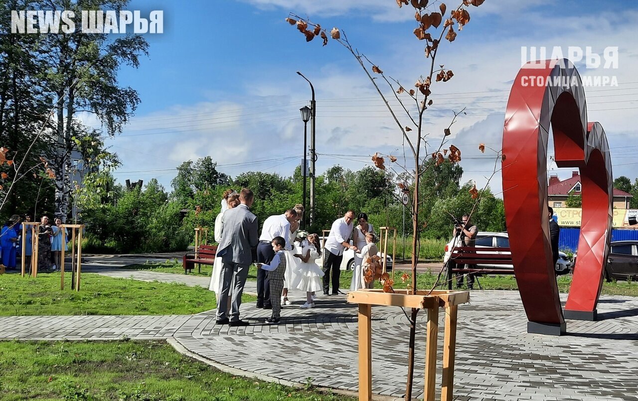 Шарьинцев приглашают жениться на свежем воздухе