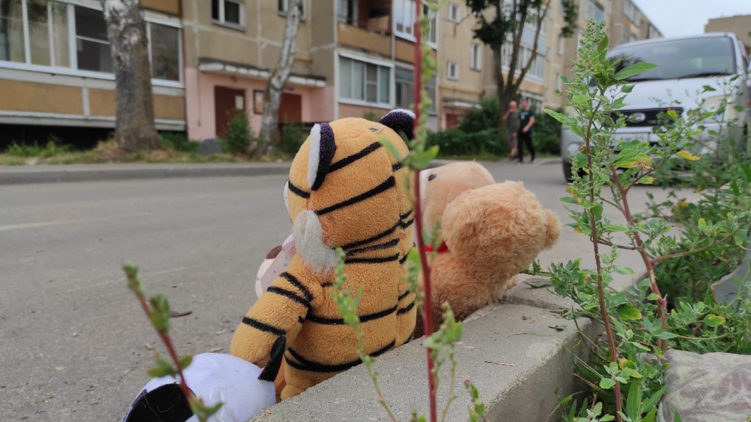 Друзья детей поселились на костромской помойке