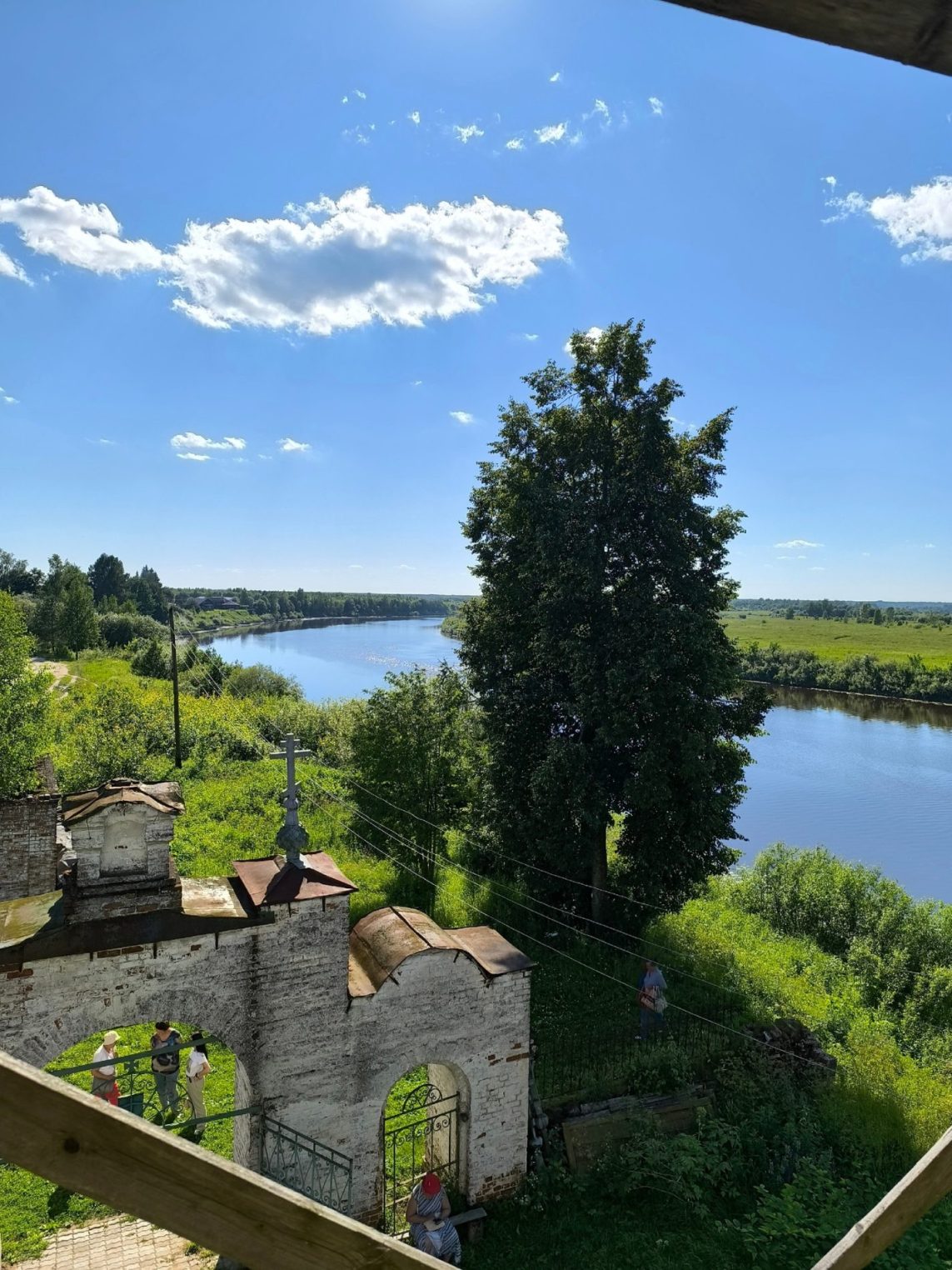 Под Костромой нашли место, где выращивают лен