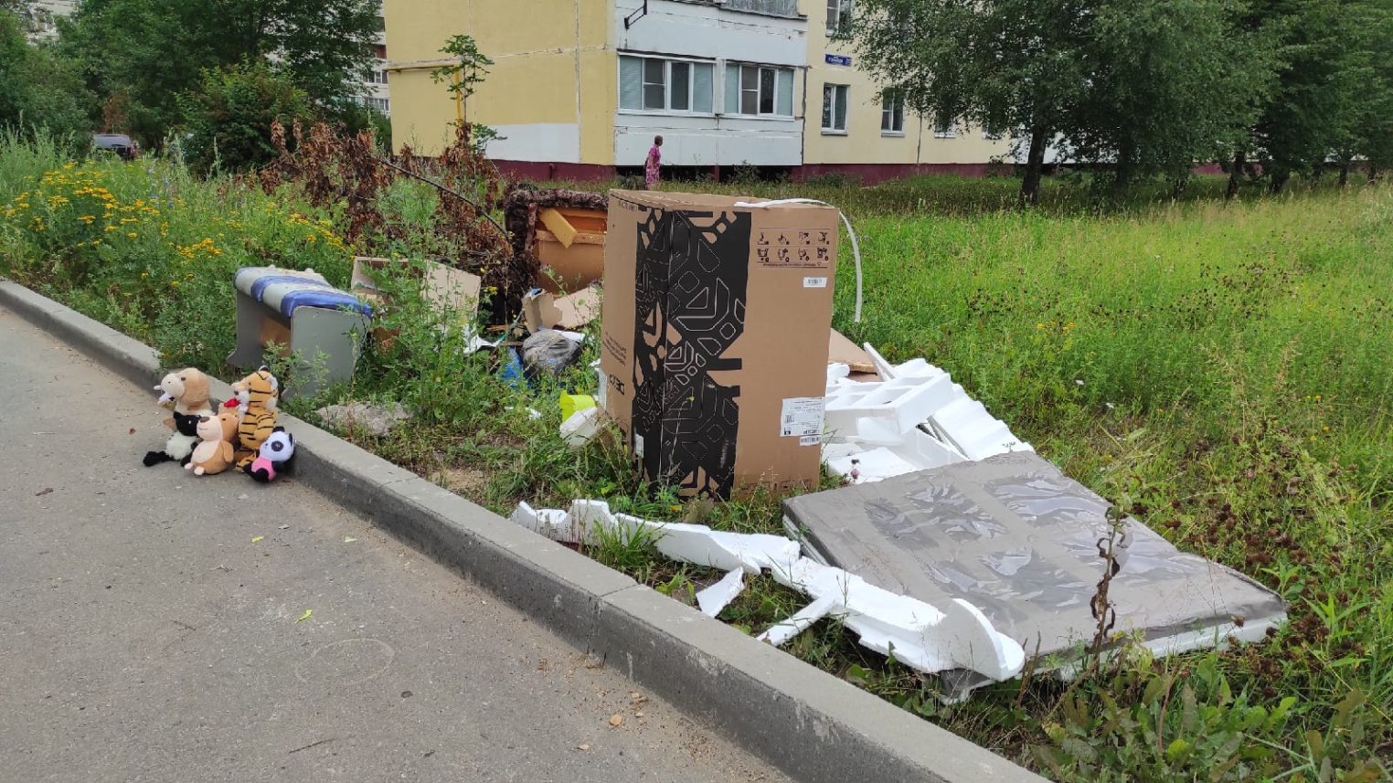 Друзья детей поселились на костромской помойке