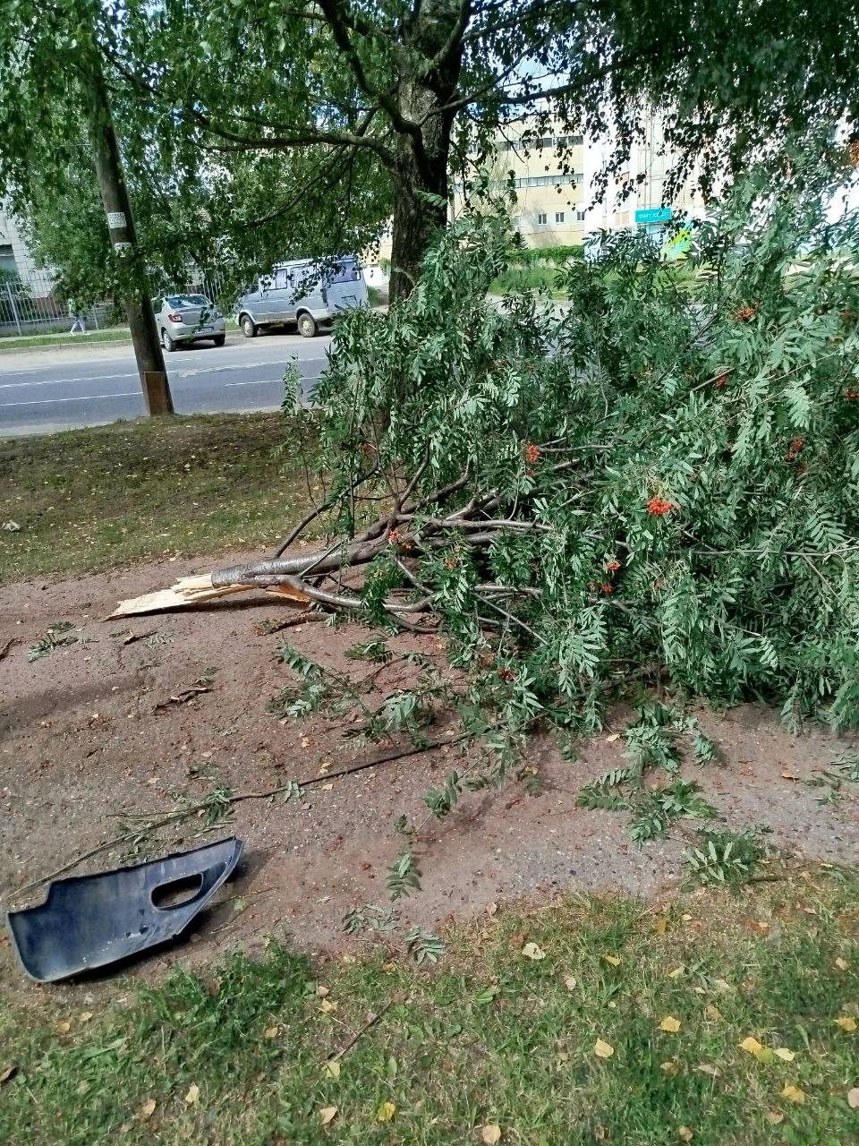 После жесткого ДТП в Костроме водитель иномарки скончался в больнице
