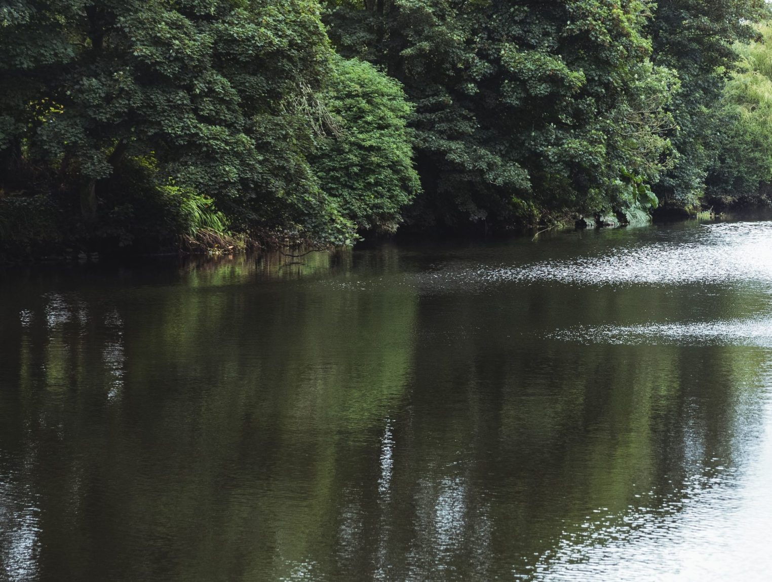 Тело пропавшего несколько дней назад мужчины нашли в реке Костроме