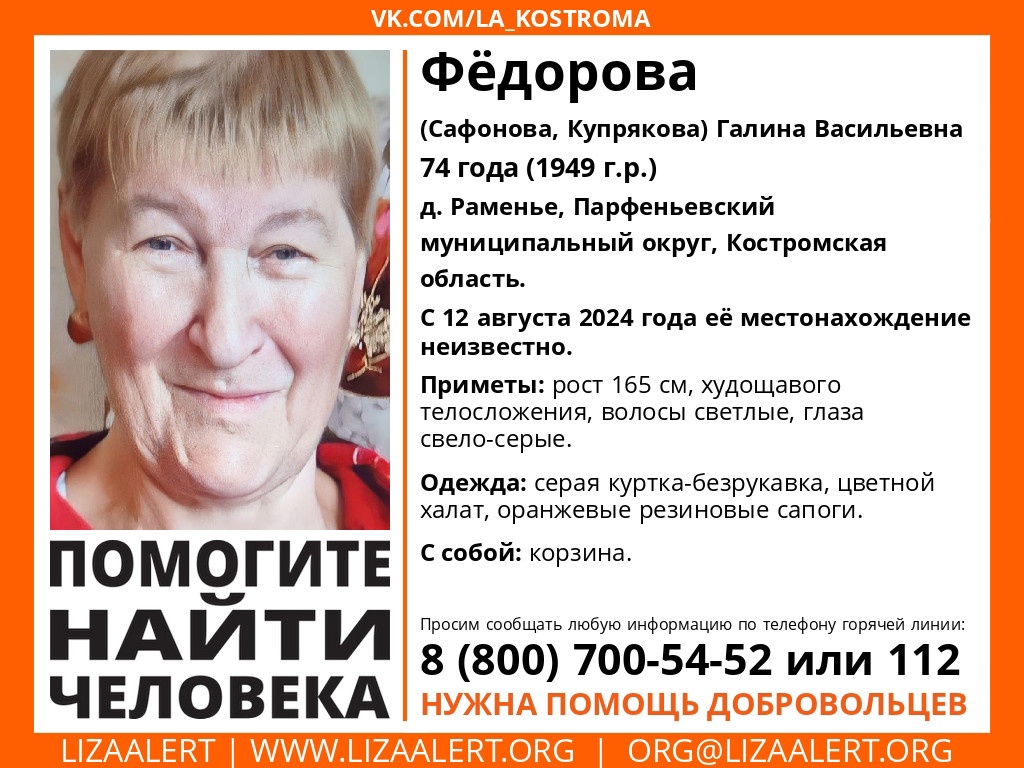 В лесу разыскивают заплутавшую 74-летнюю костромичку