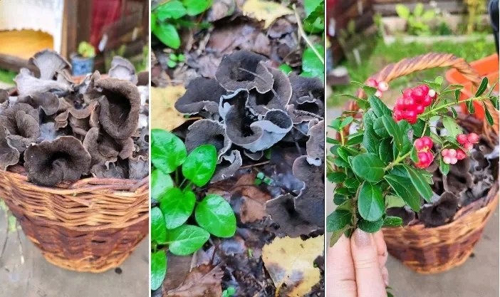 Чем запомнился костромичам последний месяц лета
