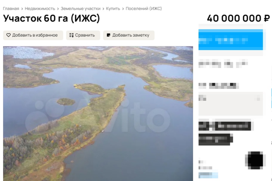 Костромской остров посреди Горьковского водохранилища продают желающим