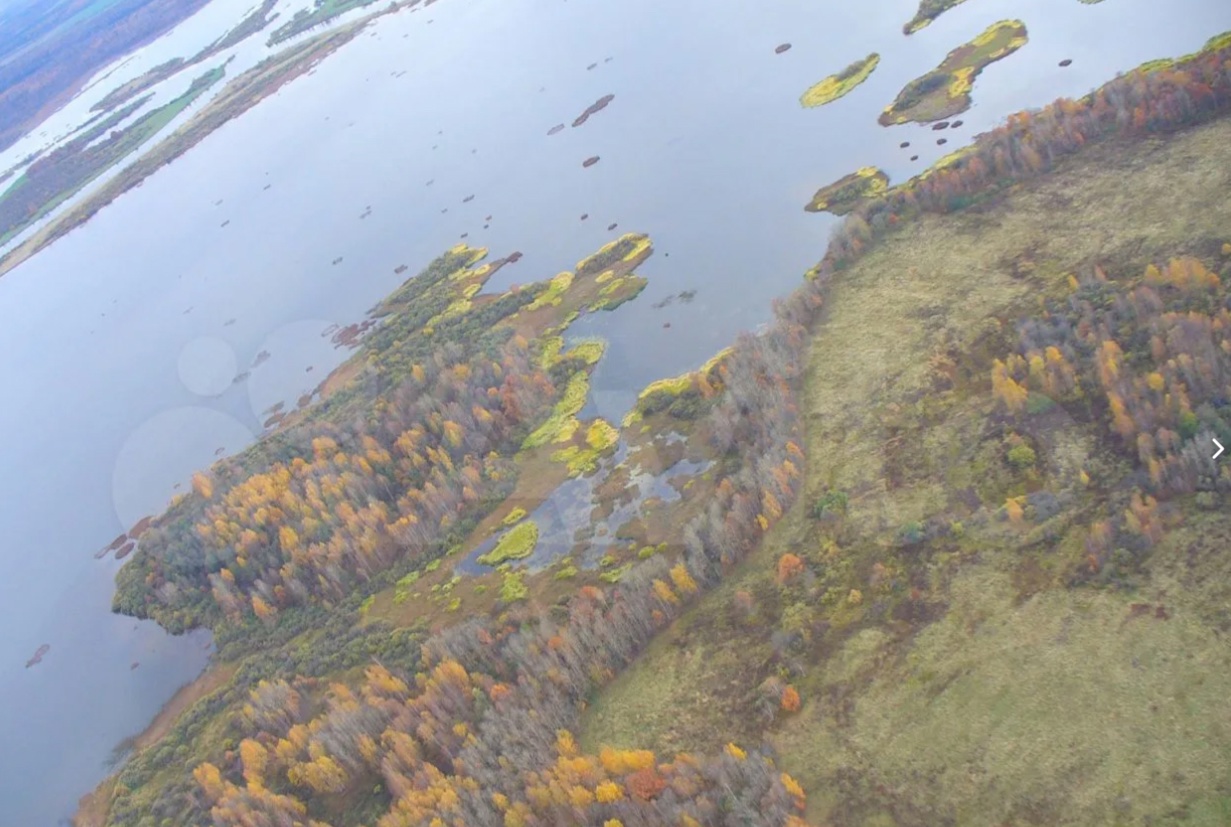 Костромской остров посреди Горьковского водохранилища продают желающим