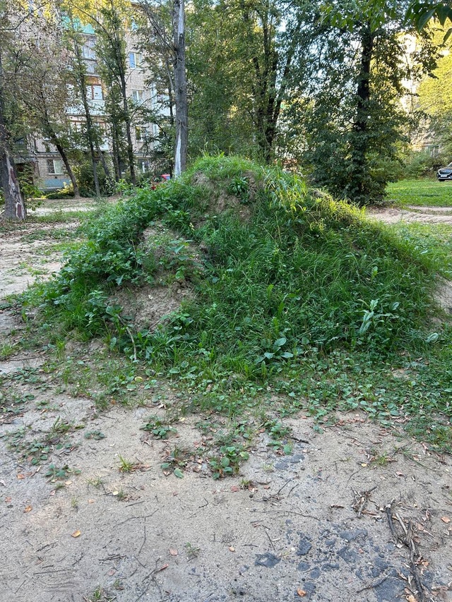 Непролазные дебри обнаружены во дворе в центре Костромы
