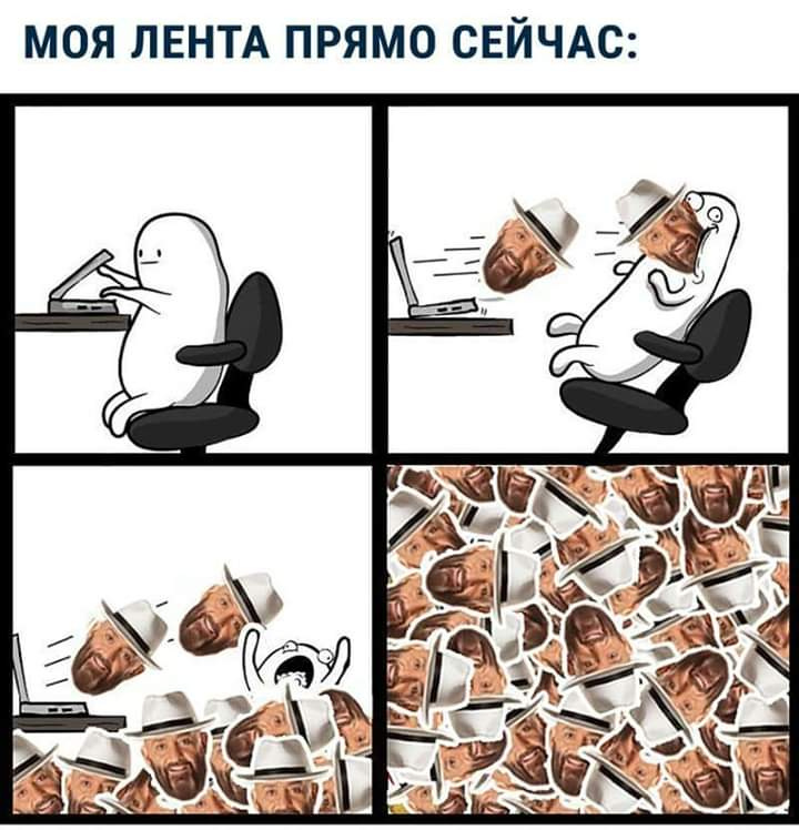 Пора зажигать костры рябин: костромичи отмечают Шуфутинов день