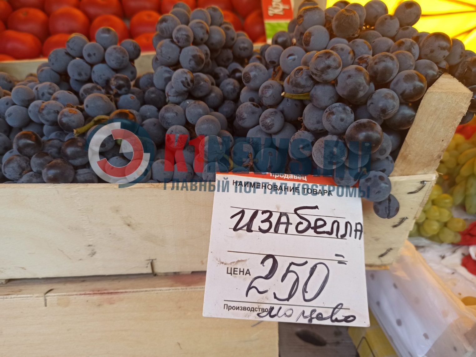 Редкого розового красавца костромичам продают неприлично дорого