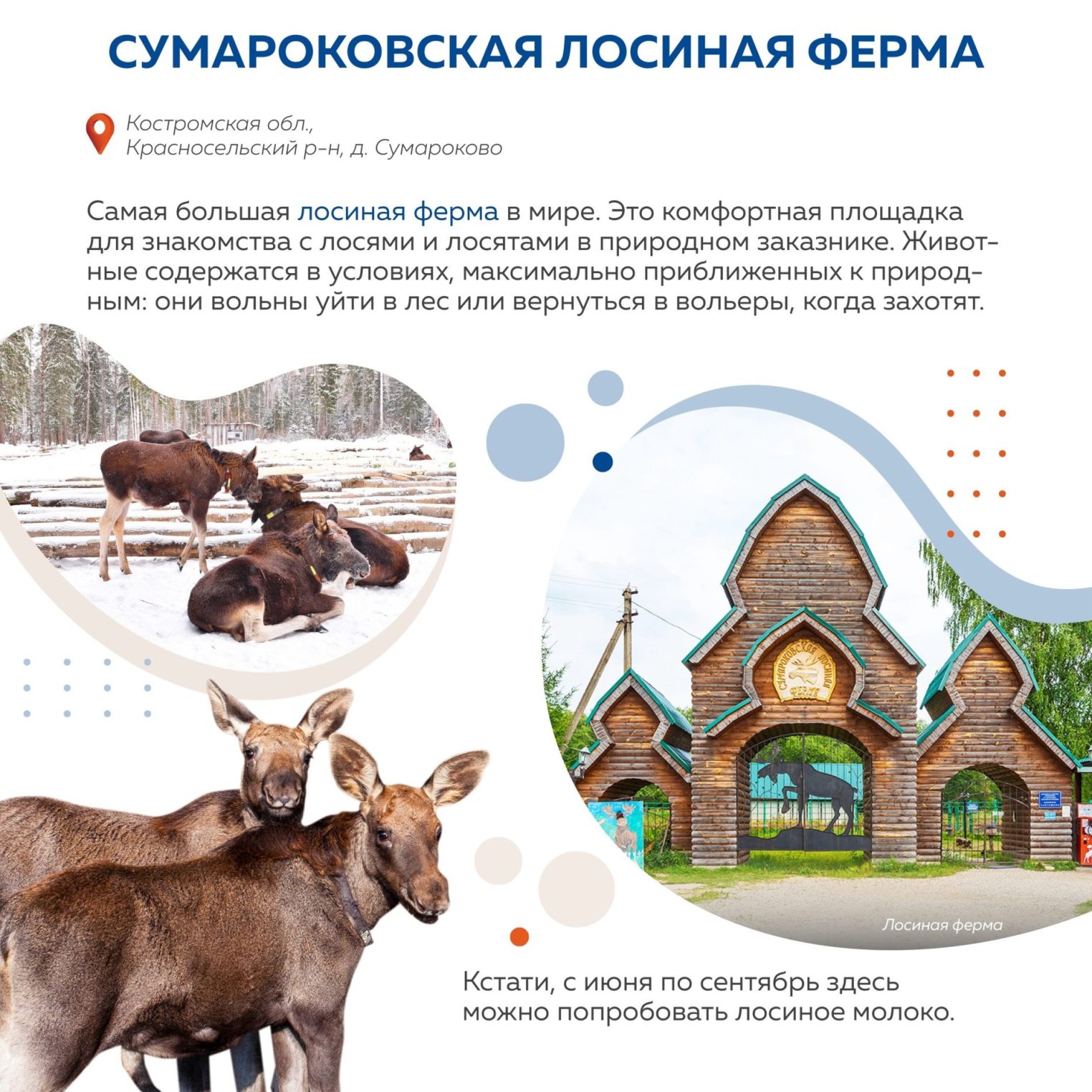 Депутат Госдумы проверил на себе отдых в Костроме