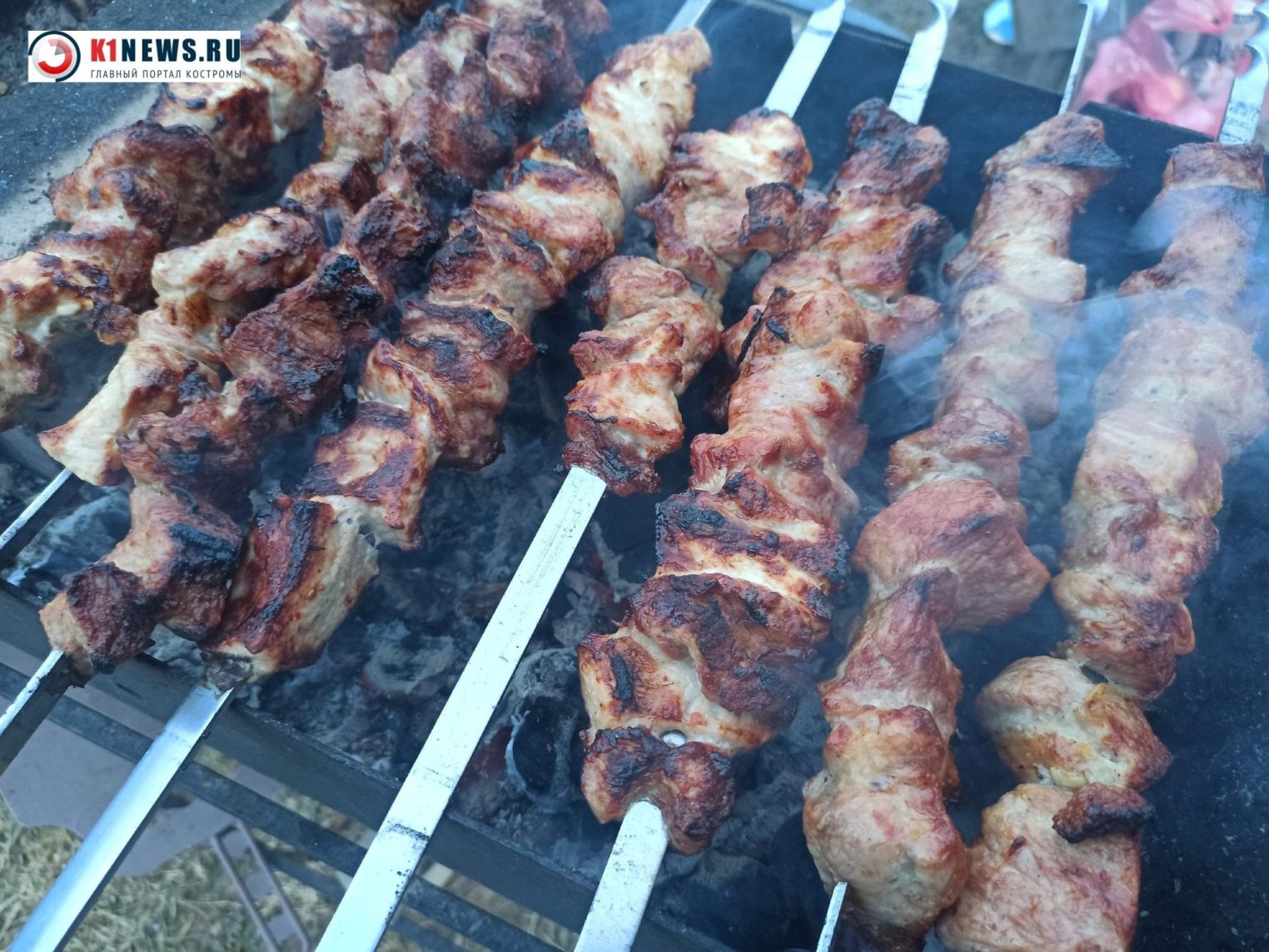 Любители шашлыков едва не спалили лес в Костромской области