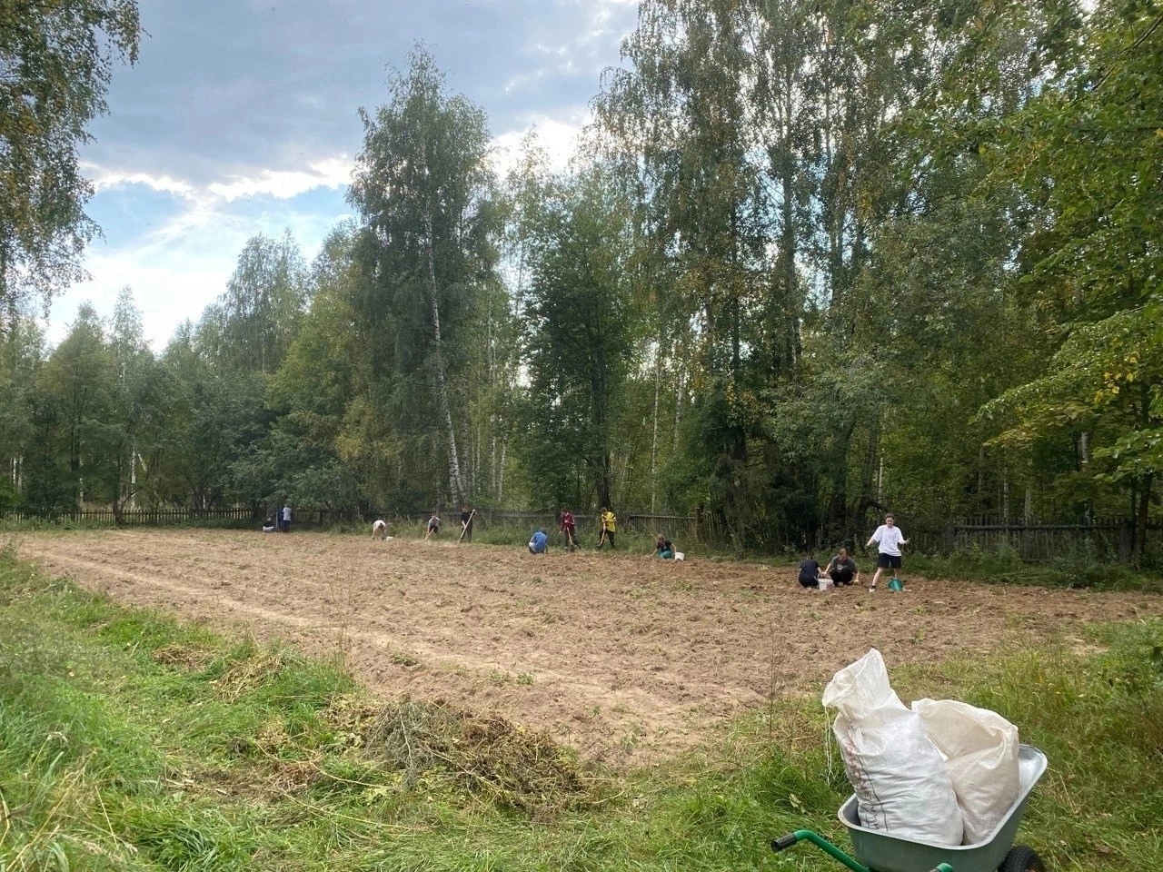 Школьники обеспечили столовую овощами на всю зиму