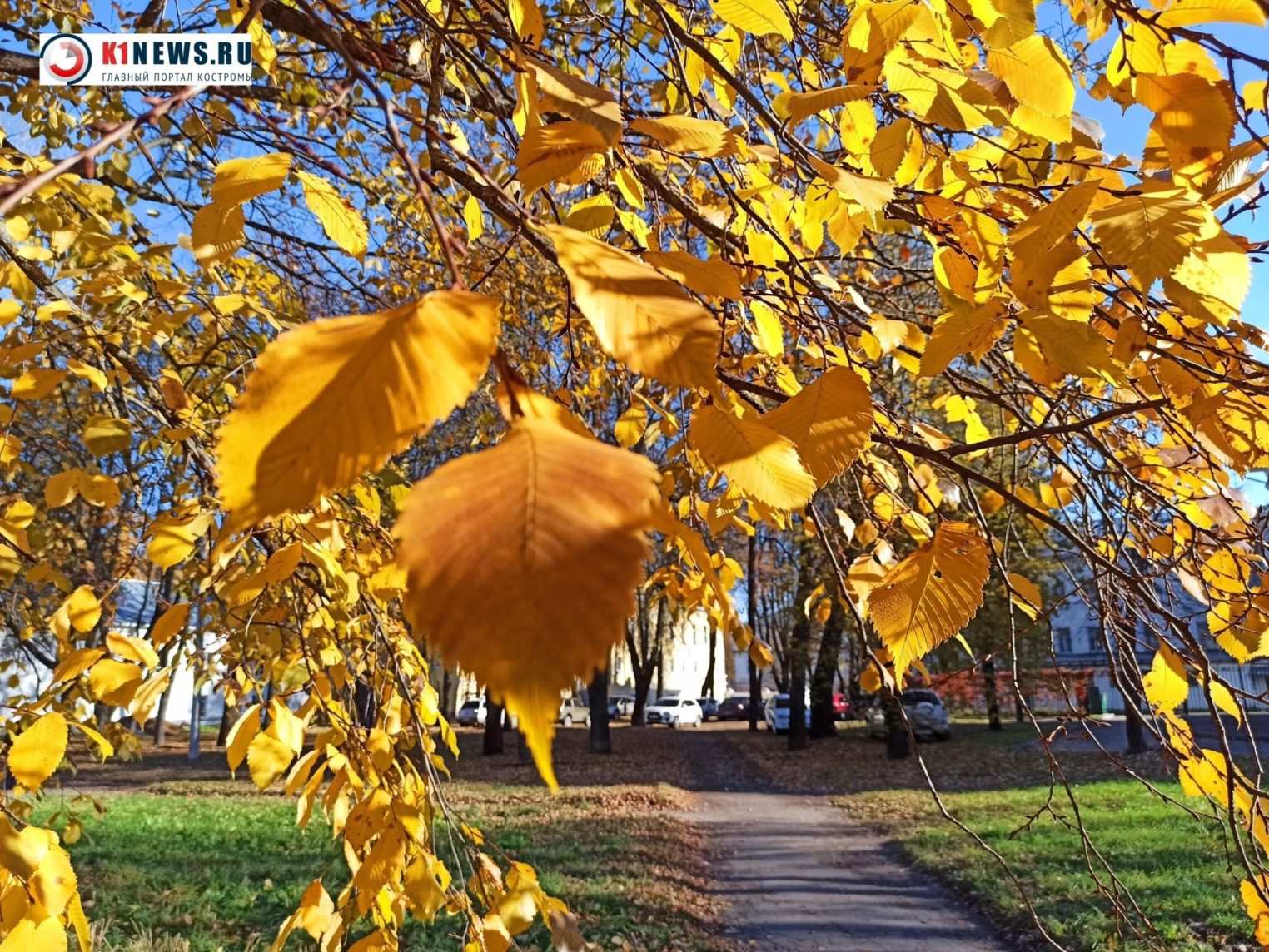 На Кострому надвигается странный циклон Эшли