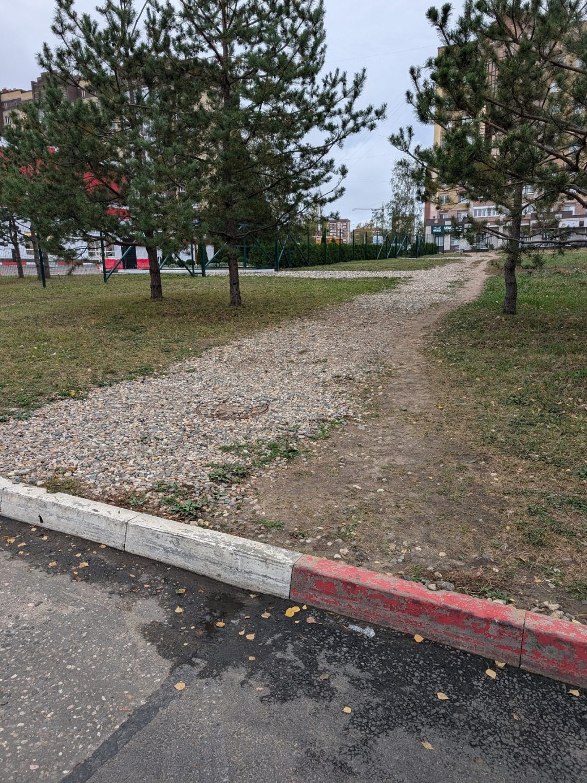 Ушлые костромичи придумали новый способ объезда пробок