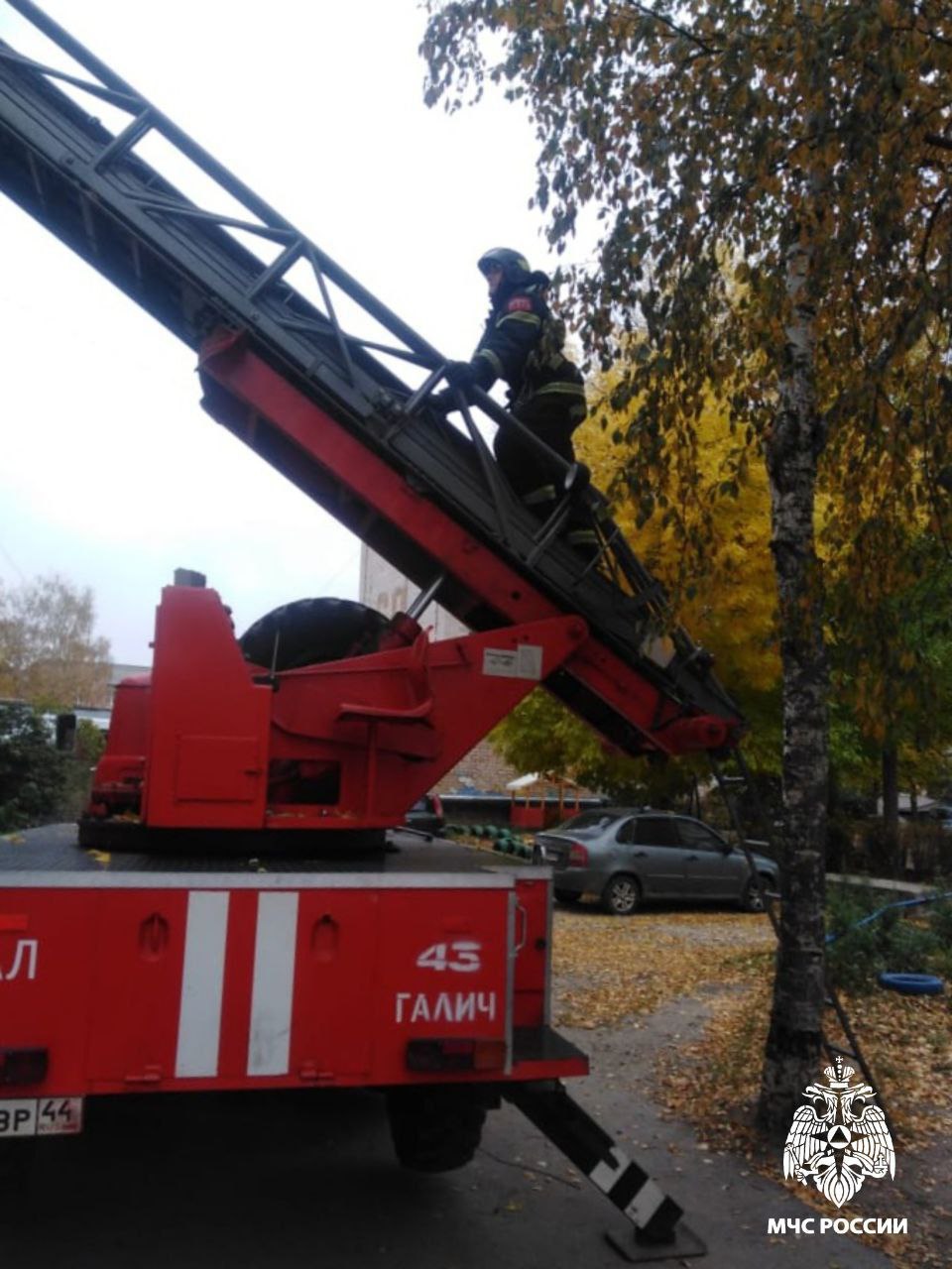 Люди в форме проникли в квартиру галичанки по пожарной лестнице