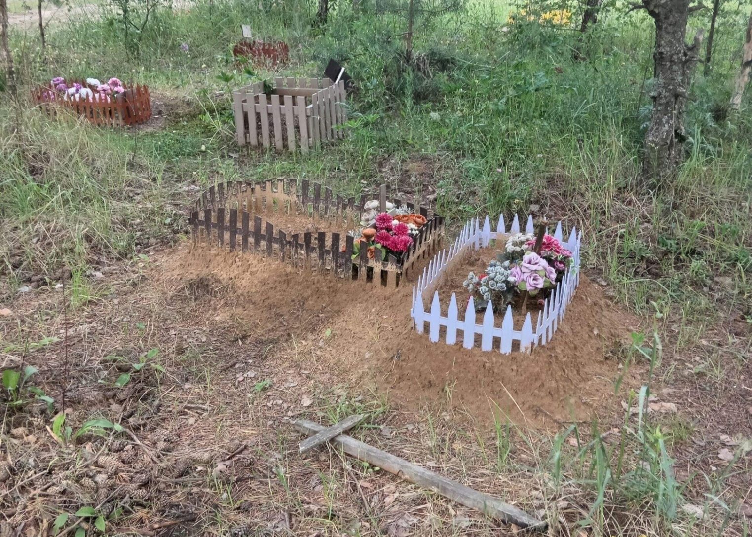 На самовольном кладбище домашних животных костромичи ставят кресты