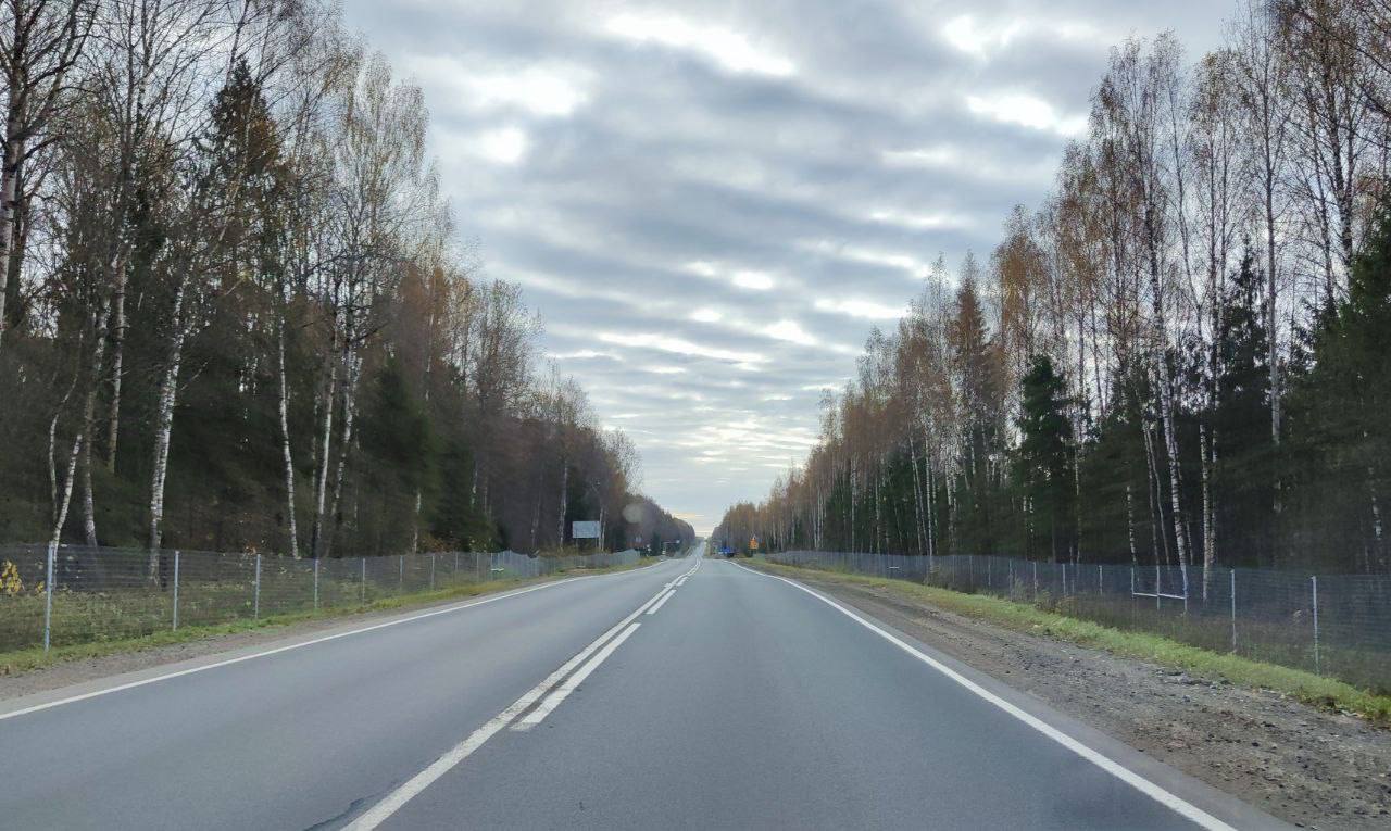 Костромскую трассу огородили от лосей