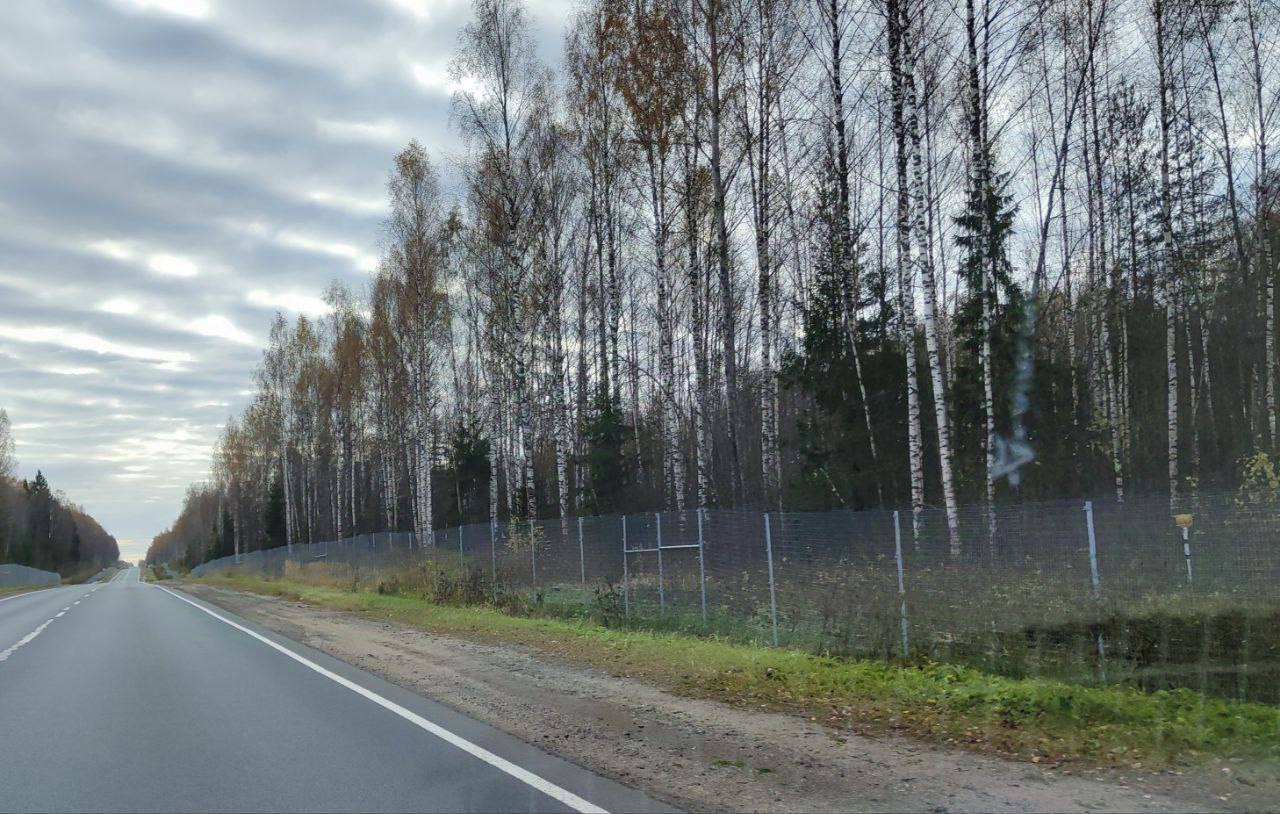 Костромскую трассу огородили от лосей