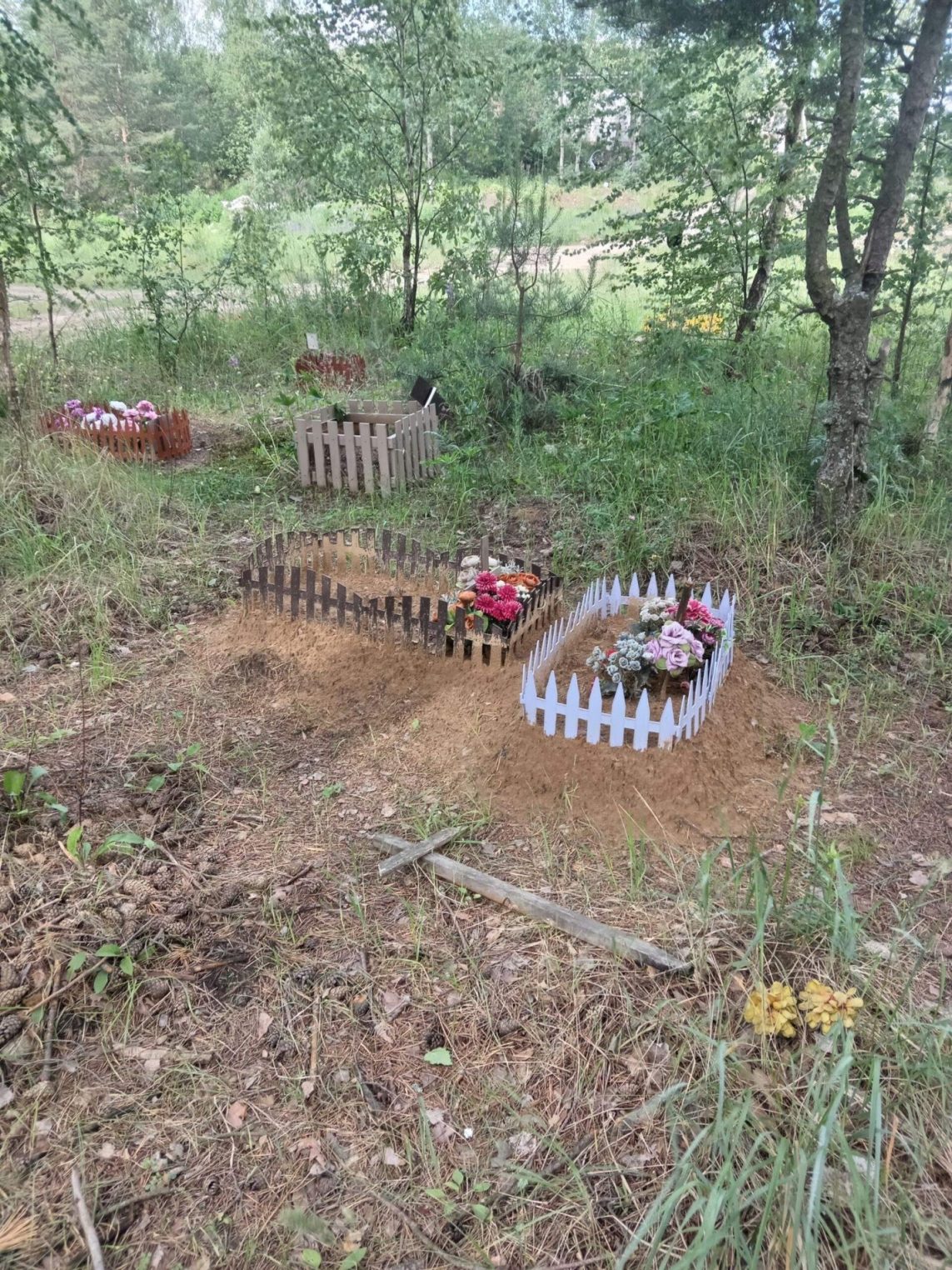 На самовольном кладбище домашних животных костромичи ставят кресты
