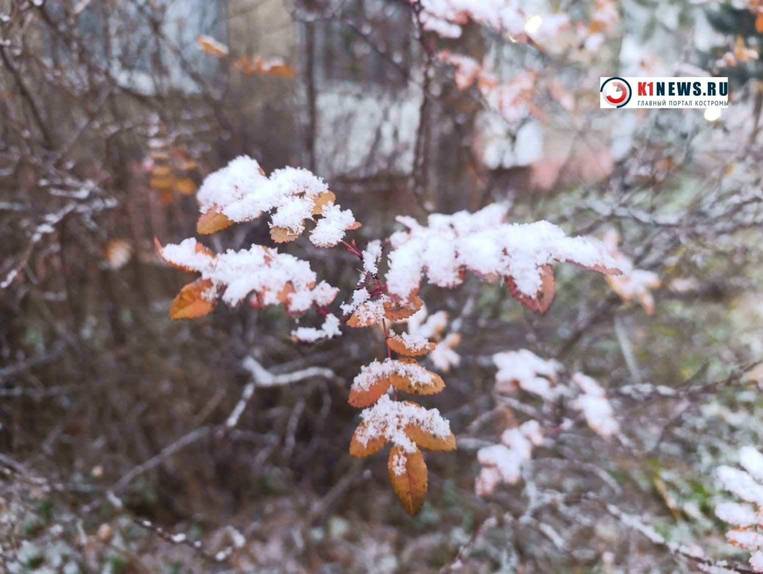 Кострому будет поливать и посыпать на короткой рабочей неделе