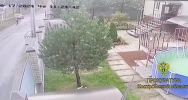 Ухоногий гигант трапезничал под камеру в Костромском экзотариуме