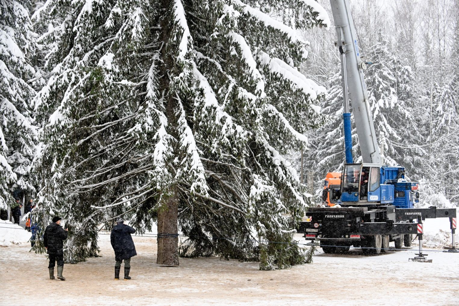 Костромской автокран Галичанин доставил новогодний символ в московский Кремль